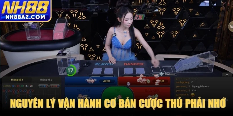  Nguyên lý vận hành cơ bản mà bất kỳ cược thủ nào cũng phải nhớ