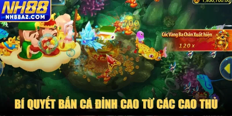 Bí quyết bắn cá đỉnh cao từ các cao thủ lâu năm