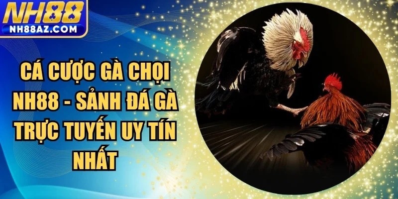 Cá cược gà chọi