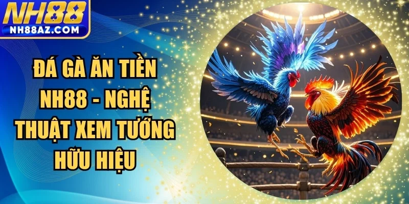 Đá gà ăn tiền
