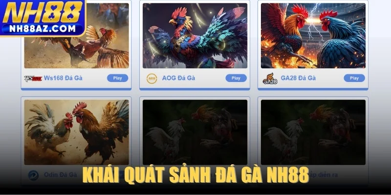 Khái quát sảnh Đá Gà NH88 với hàng loạt trận đấu kịch tính