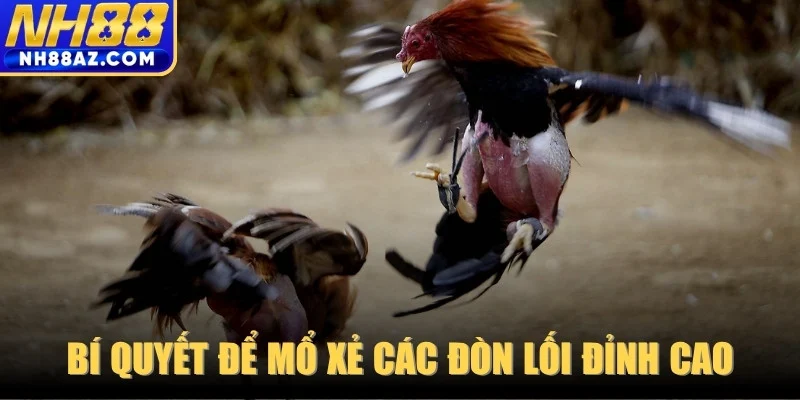 Bí quyết để mổ xẻ các đòn lối đỉnh cao dành cho anh em