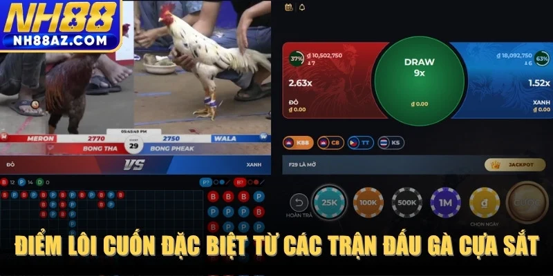 Điểm lôi cuốn thu hút đặc biệt từ các trận đấu gà cựa sắt kịch tính