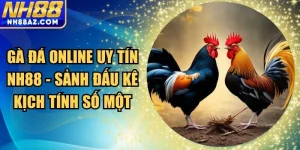 Gà đá online uy tín