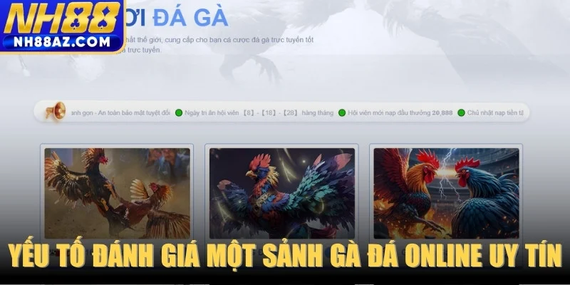 Một số yếu tố đánh giá một sảnh gà đá online uy tín hiện nay