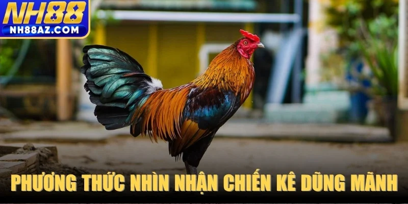 Phương thức nhìn nhận chiến kê dũng mãnh qua sảnh gà đá online