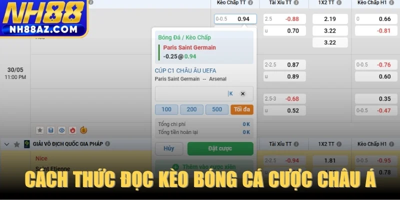 Cách thức đọc kèo bóng cá cược châu Á cho người mới