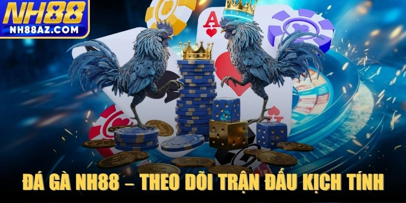 Đá Gà NH88 – Theo dõi những trận đấu kịch tính