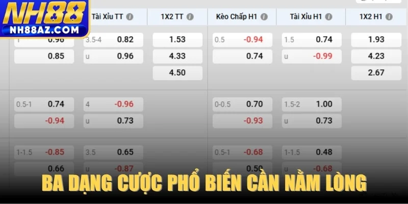 Ba dạng cược phổ biến nhất mà cược thủ cần nằm lòng